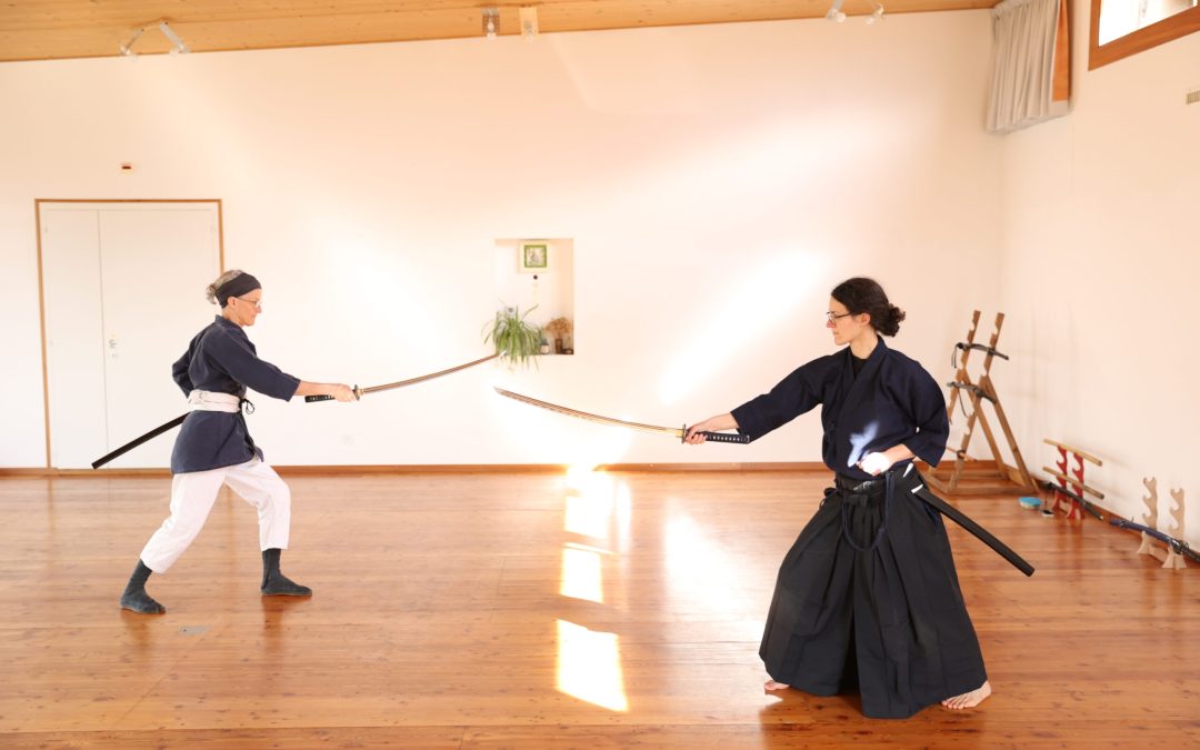 Deux pratiquantes exécutent un kata de kenjutsu dans le dojo, sabre japonais en main, posture concentrée et synchronisée, baignées de lumière, symbolisant l’union de la maîtrise technique et de l’harmonie spirituelle lors du stage « Sei to Dō ».