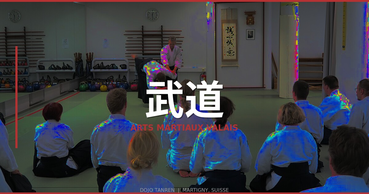 Arts Martiaux Japonais en Valais : Guide Complet 2026